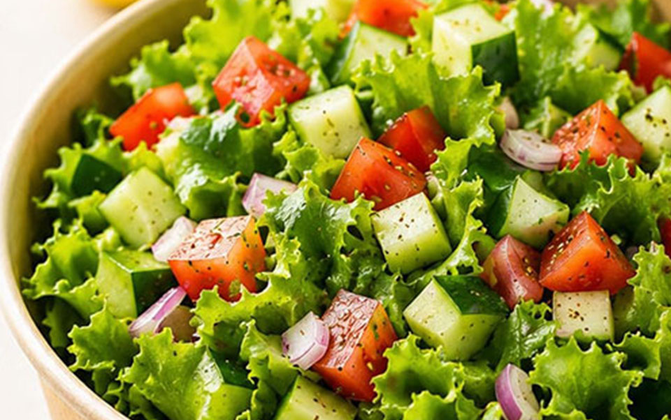 Premium Quality Healthy Meals